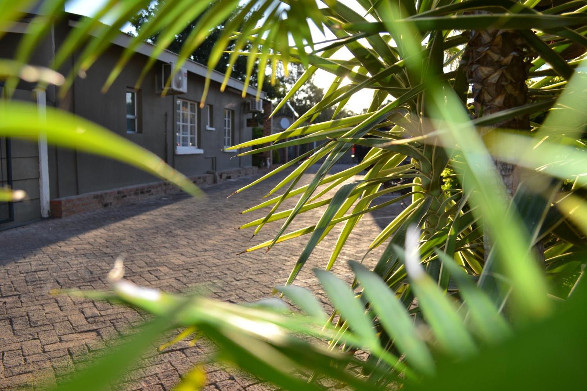 Travel North Guesthouse Tsumeb Bagian luar foto